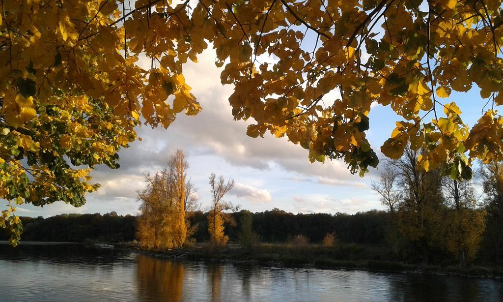 La Chaumiere Bed & Breakfast Ousson-sur-Loire Dış mekan fotoğraf