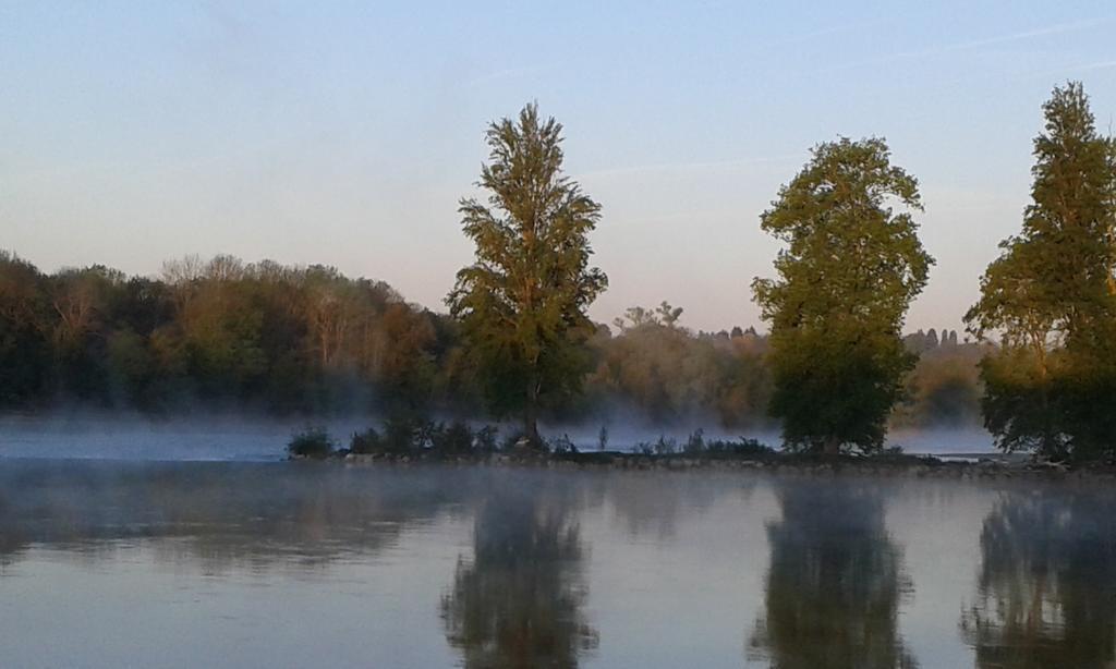 La Chaumiere Bed & Breakfast Ousson-sur-Loire Dış mekan fotoğraf