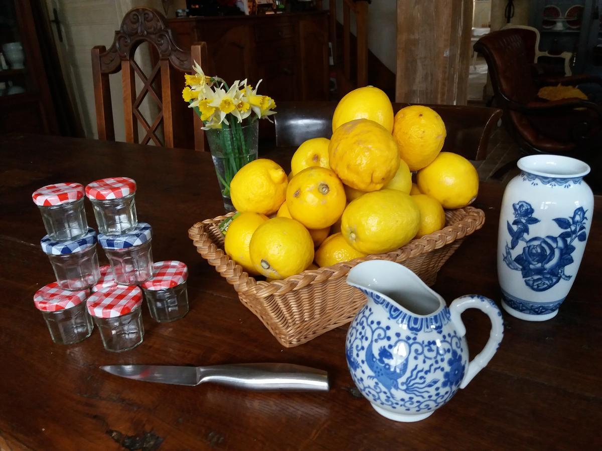 La Chaumiere Bed & Breakfast Ousson-sur-Loire Dış mekan fotoğraf